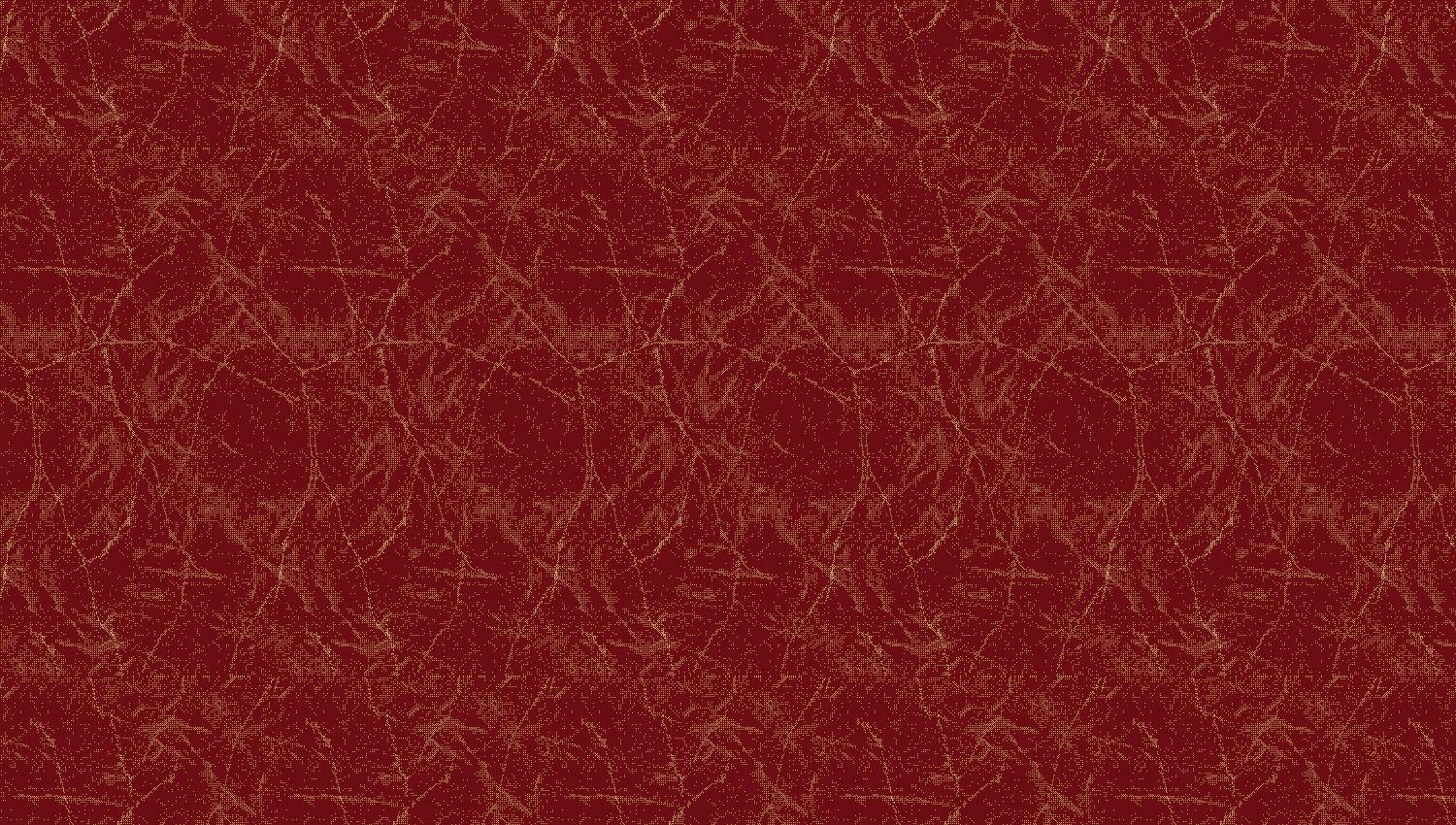 Duvardan Duvara 5019