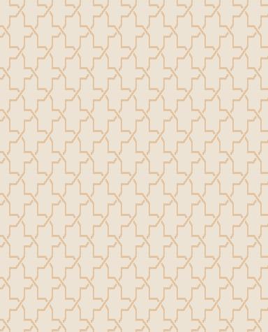 Duvardan Duvara 5000