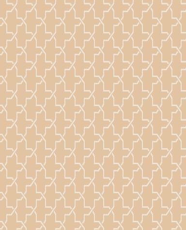 Duvardan Duvara 5002