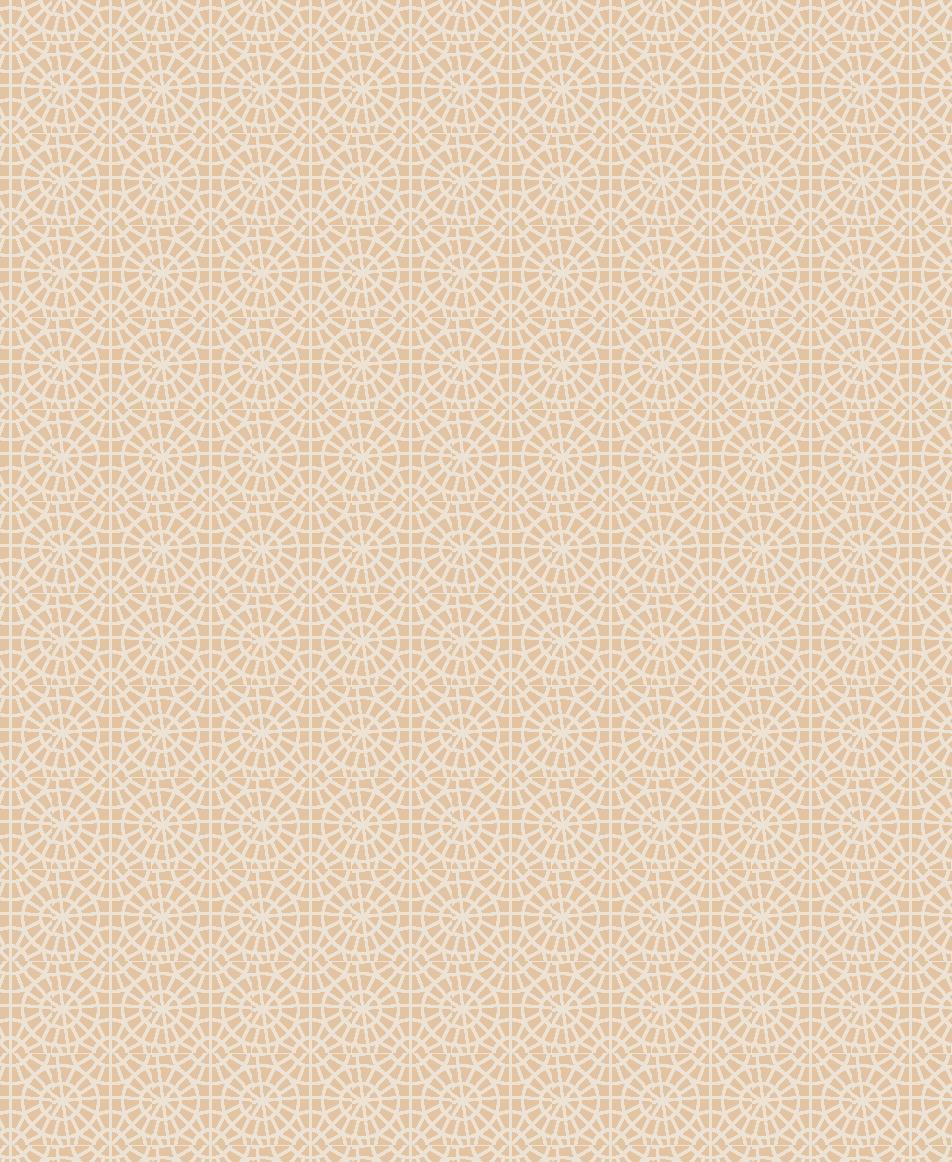 Duvardan Duvara 5015