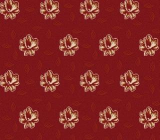 Duvardan Duvara 5039