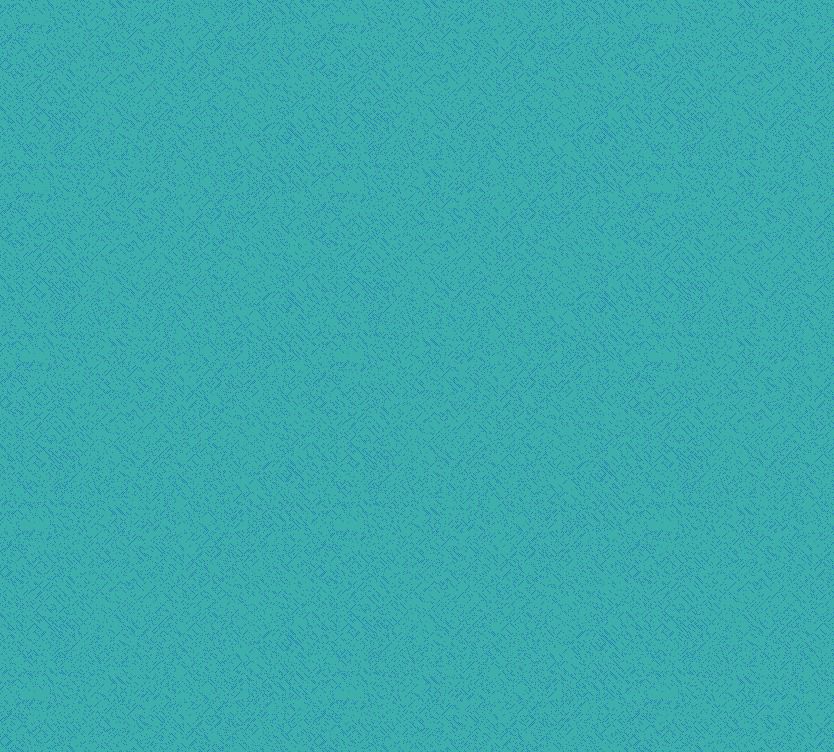 Duvardan Duvara 5050