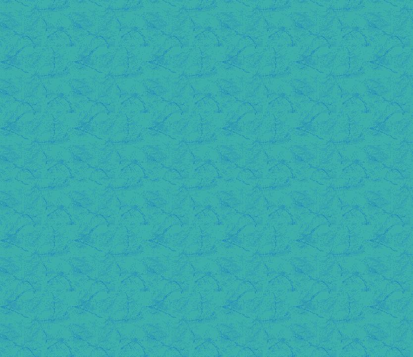 Duvardan Duvara 5041