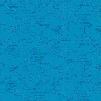 Duvardan Duvara 5064